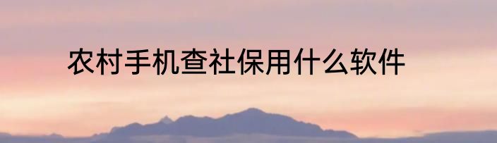 农村手机查社保用什么软件