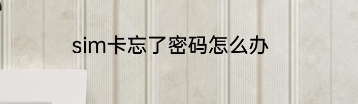 sim卡忘了密码怎么办