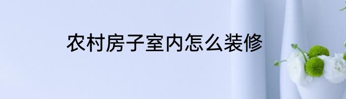 农村房子室内怎么装修