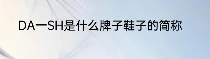 DA一SH是什么牌子鞋子的简称