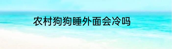 农村狗狗睡外面会冷吗