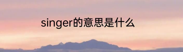 singer的意思是什么