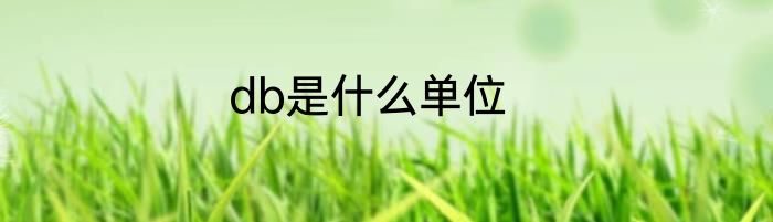 db是什么单位