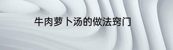 牛肉萝卜汤的做法窍门