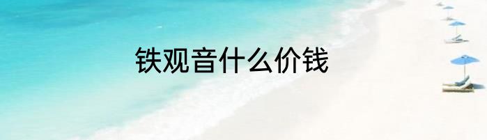 铁观音什么价钱