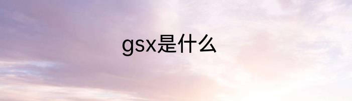 gsx是什么