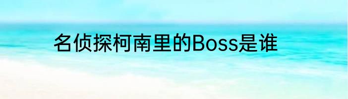 名侦探柯南里的Boss是谁