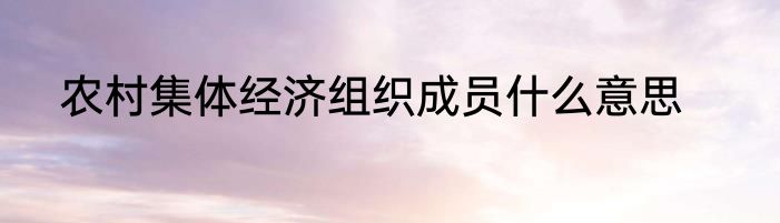 农村集体经济组织成员什么意思