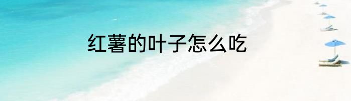 红薯的叶子怎么吃