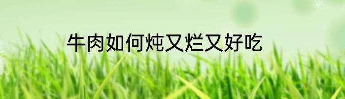 牛肉如何炖又烂又好吃
