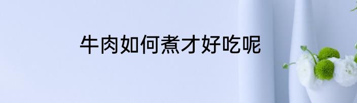 牛肉如何煮才好吃呢