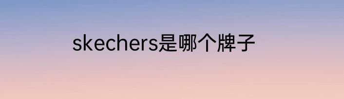 skechers是哪个牌子