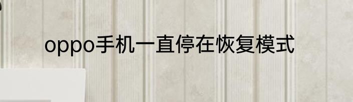 oppo手机一直停在恢复模式