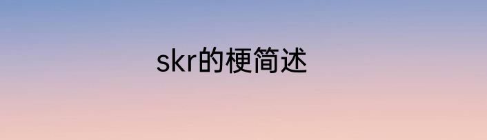 skr的梗简述