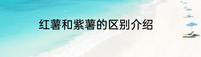 红薯和紫薯的区别介绍