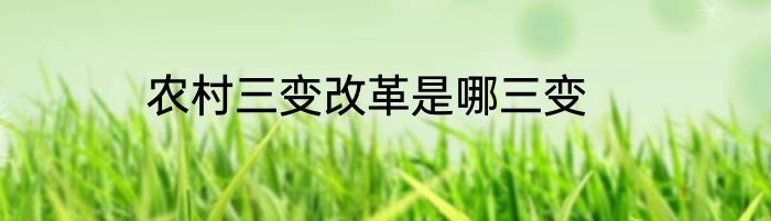 农村三变改革是哪三变