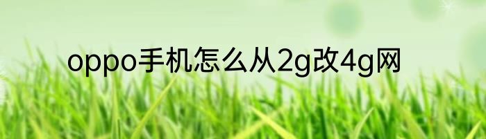 oppo手机怎么从2g改4g网