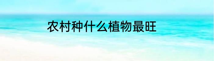 农村种什么植物最旺