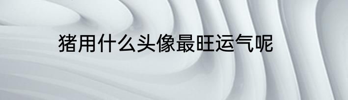 猪用什么头像最旺运气呢
