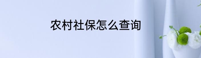 农村社保怎么查询