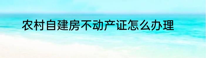 农村自建房不动产证怎么办理