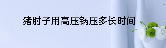 猪肘子用高压锅压多长时间