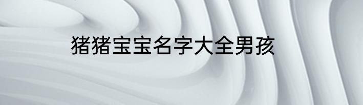 猪猪宝宝名字大全男孩