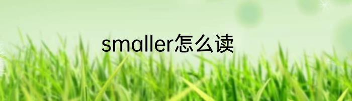 smaller怎么读