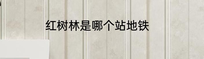 红树林是哪个站地铁