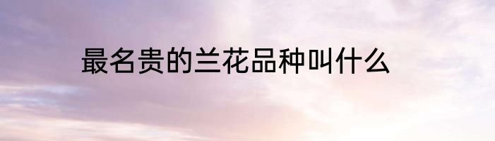 最名贵的兰花品种叫什么