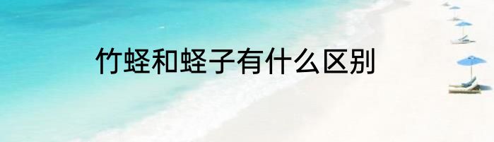 竹蛏和蛏子有什么区别