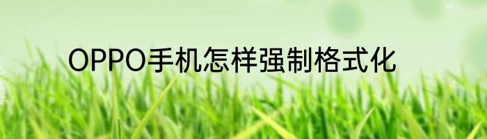 OPPO手机怎样强制格式化