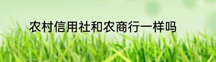 农村信用社和农商行一样吗