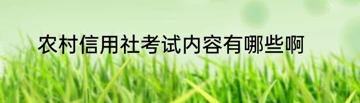 农村信用社考试内容有哪些啊