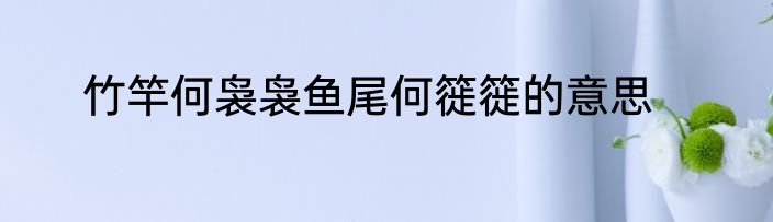 竹竿何袅袅鱼尾何簁簁的意思