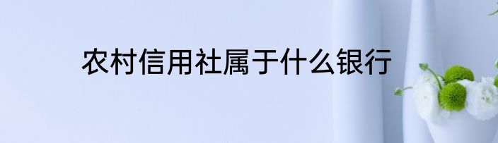 农村信用社属于什么银行