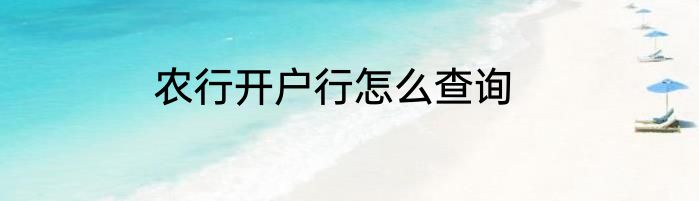 农行开户行怎么查询