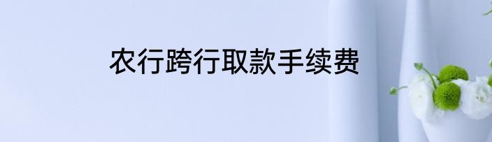 农行跨行取款手续费