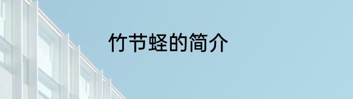 竹节蛏的简介