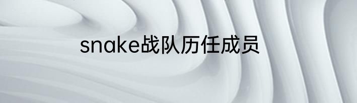 snake战队历任成员