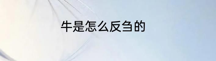 牛是怎么反刍的