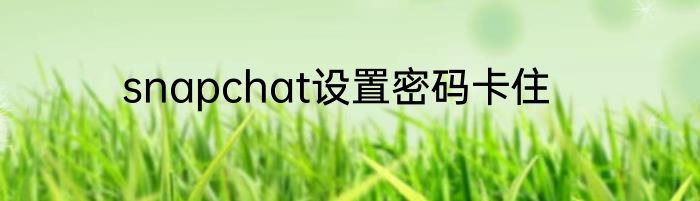 snapchat设置密码卡住