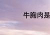 牛胸肉是牛的哪个部位