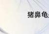 猪鼻龟是保护动物吗