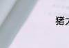 猪大排做法