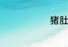 猪肚鸡的简介