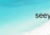 seeyou的意思