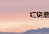 红烧蘑菇怎么做的