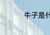 牛子是什么地方的方言