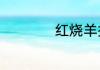 红烧羊排的家常做法